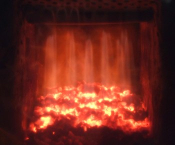 Biomasseverbrennung